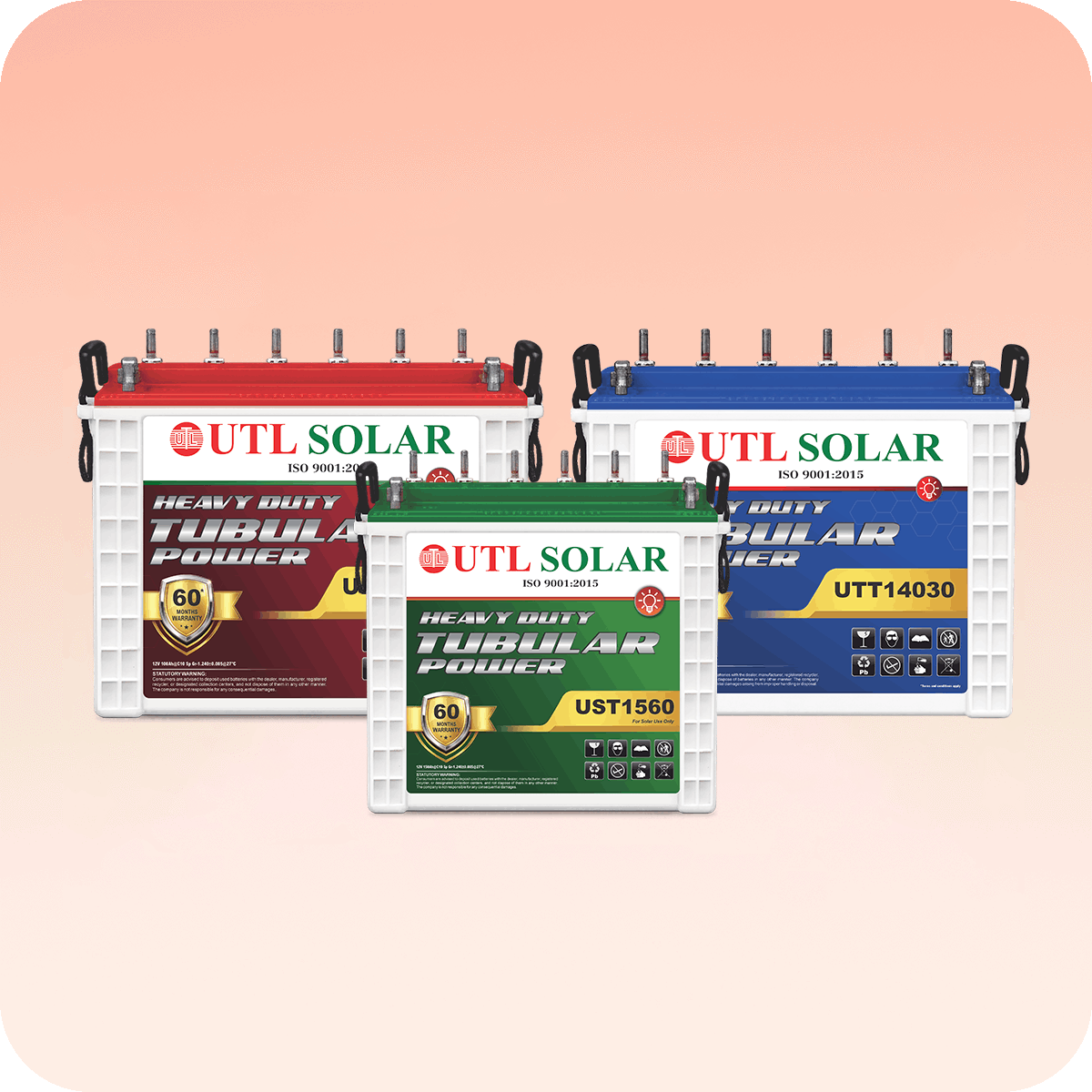 Inverter Battery